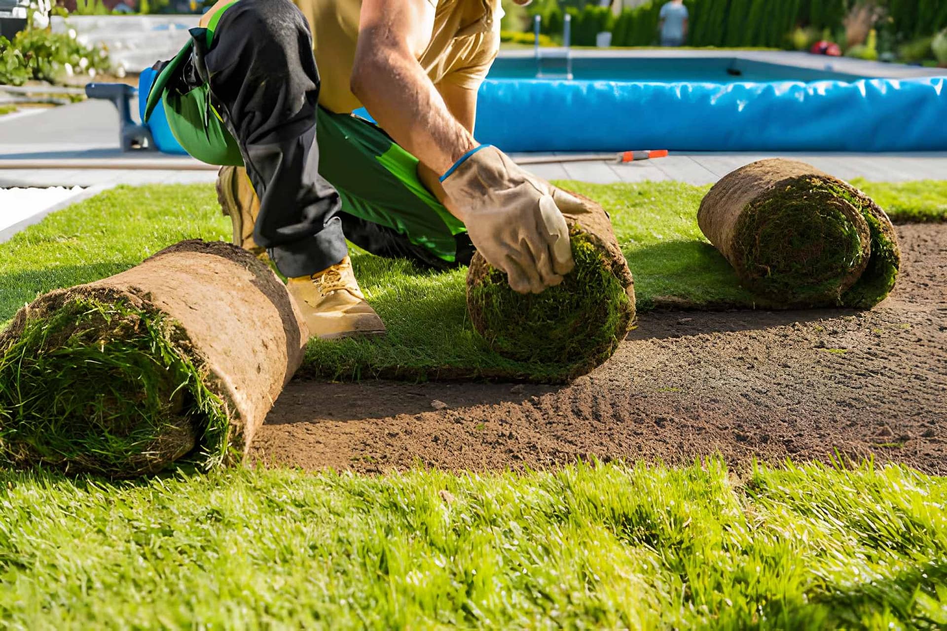 Submit a landscaping work order Phoenix