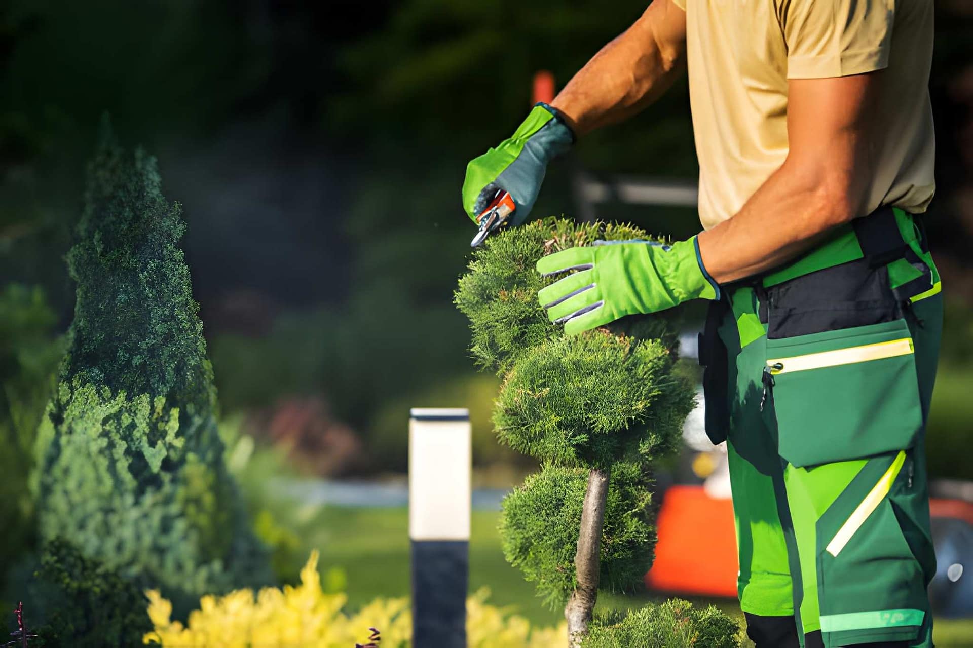 Tree Services for Rental Properties