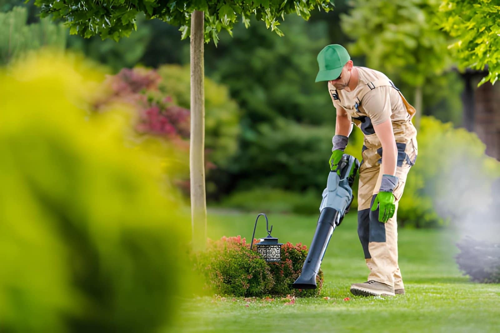 Landscaping Cleanup Services for Rental Properties