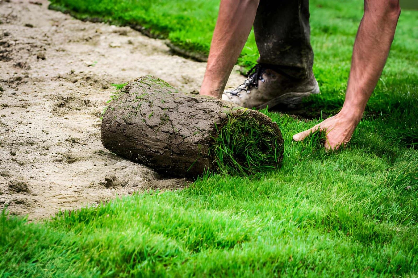 Sod Installation Services