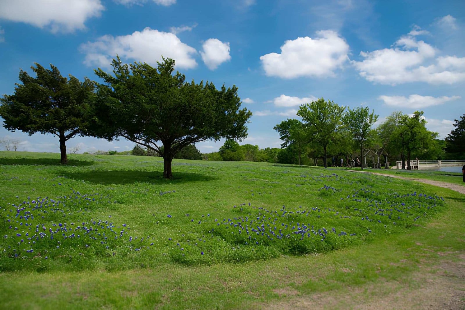 Property Maintenance Services in Dallas, TX