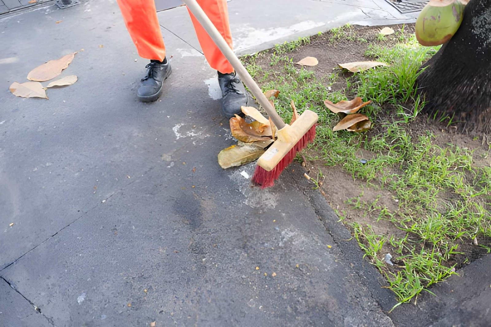 HOA violation cleanup services in Phoenix, Arizona