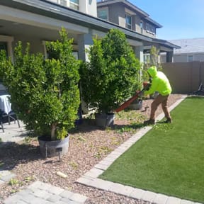 Renovation services in Phoenix, Arizona