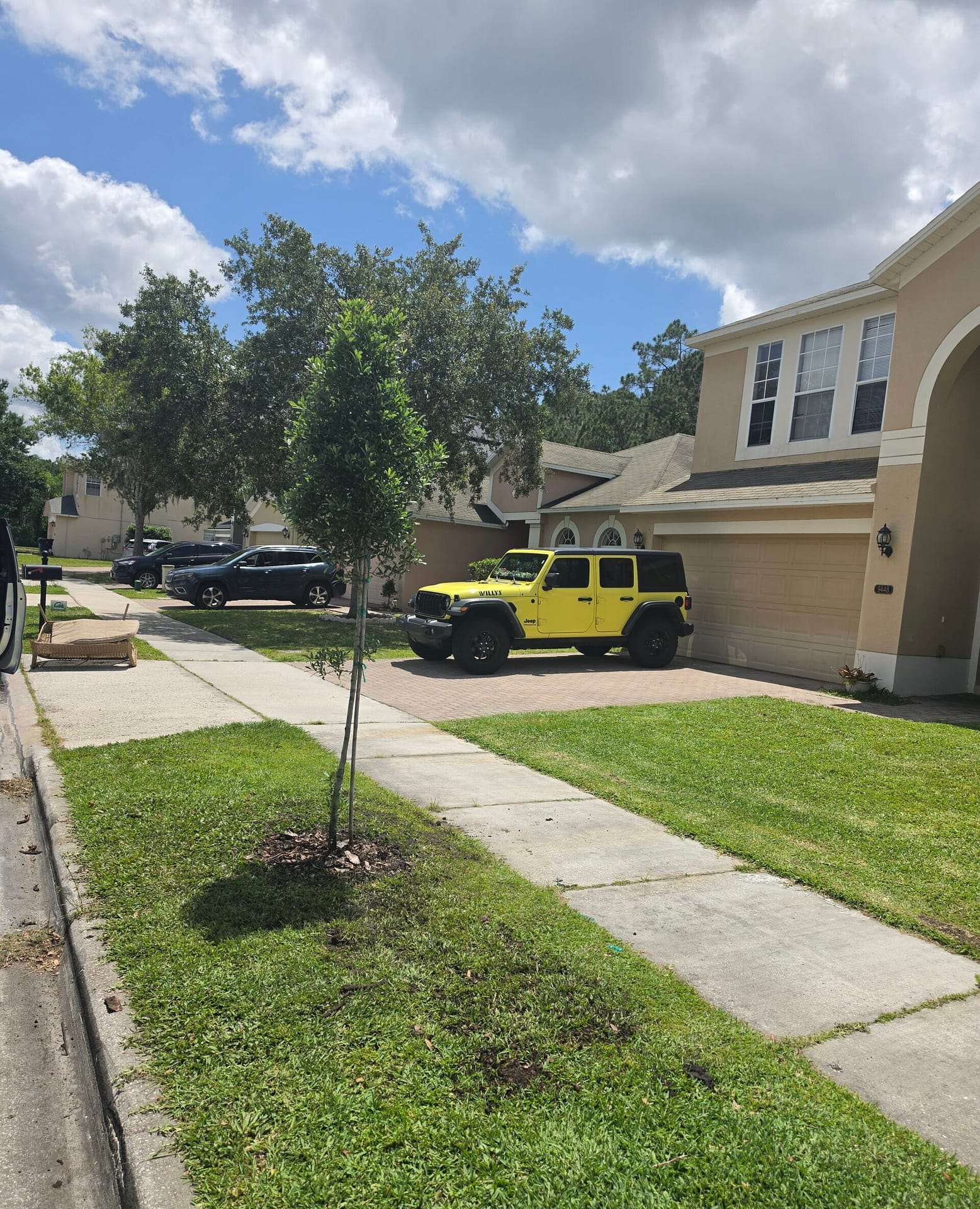 Sod Installation