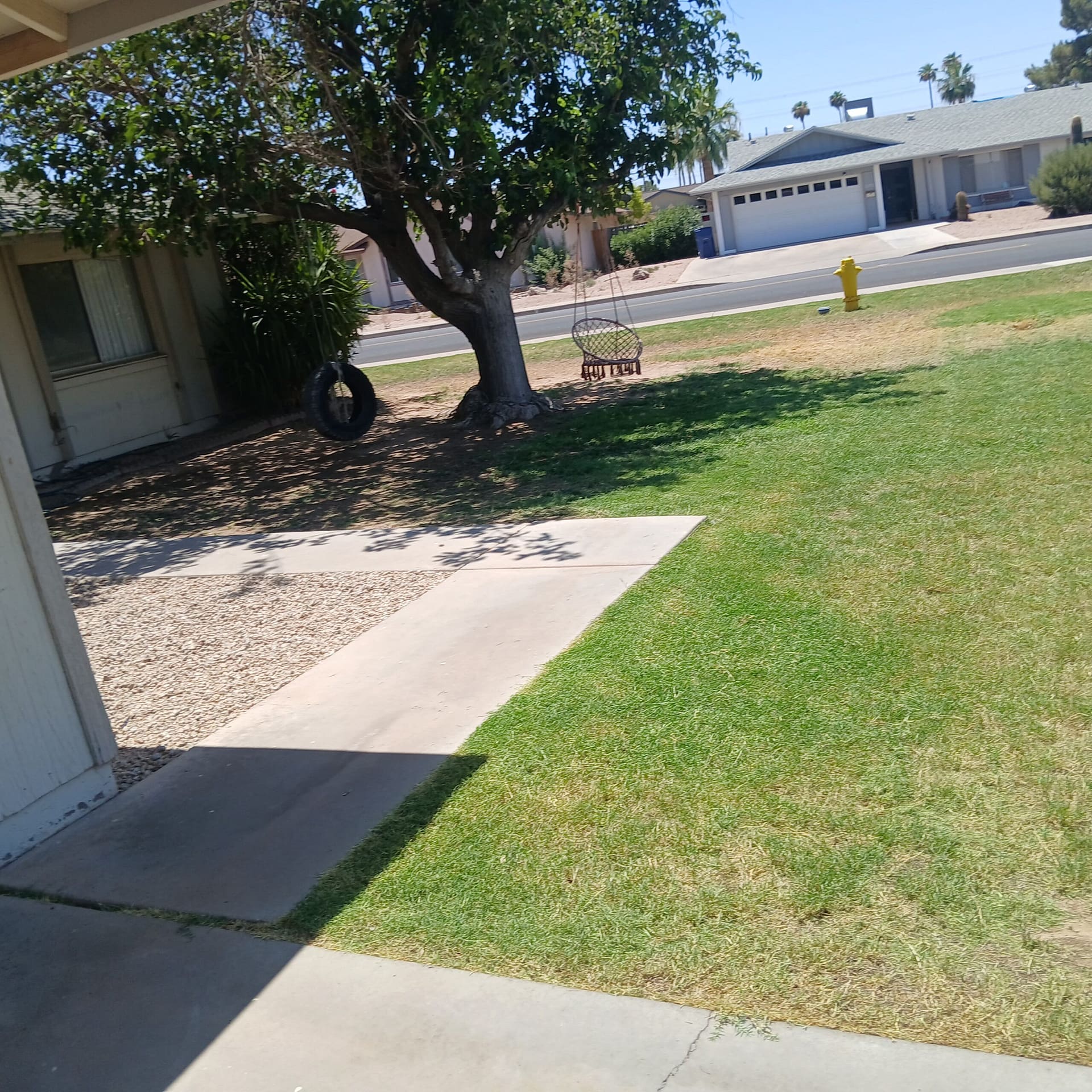 Breasy reviewing a Scottsdale sod installation scope and watering plan