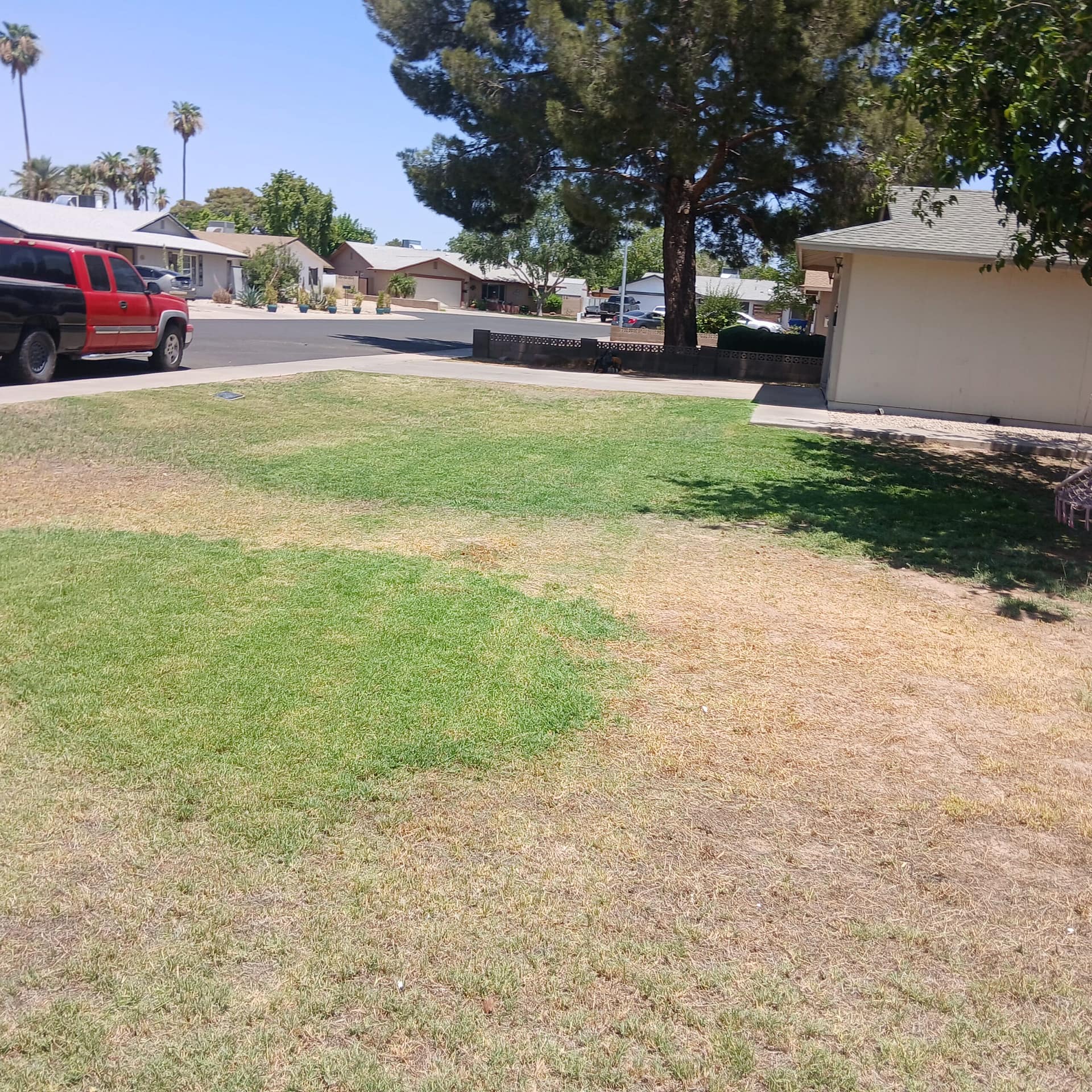 Patchy dead backyard turf hurting listing photos at a Scottsdale rental home