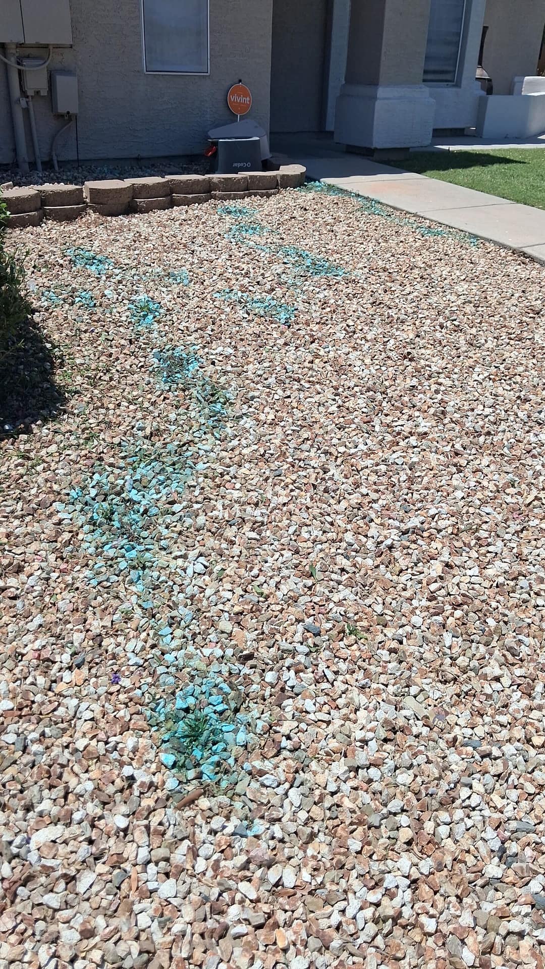 Low maintenance decomposed granite yard at a Scottsdale rental property