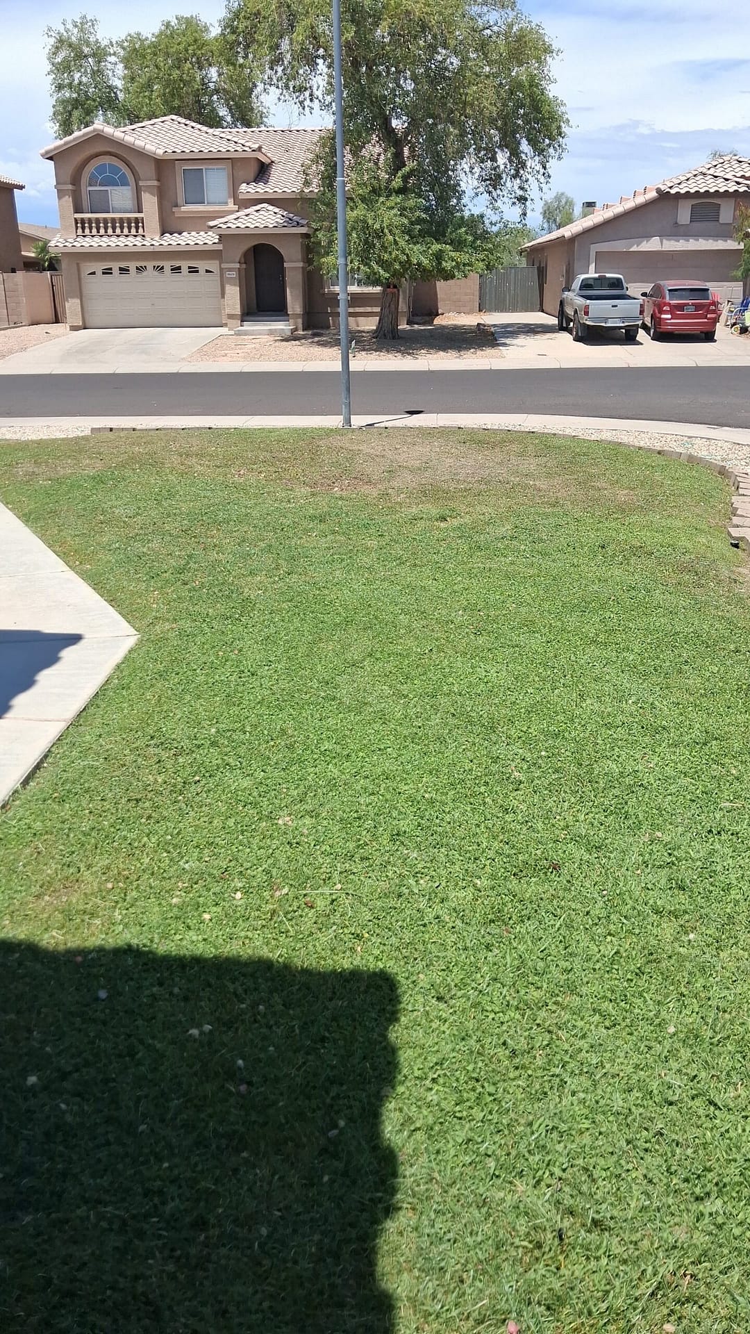 Fresh Bermuda sod rolls being installed on graded soil at a Scottsdale backyard