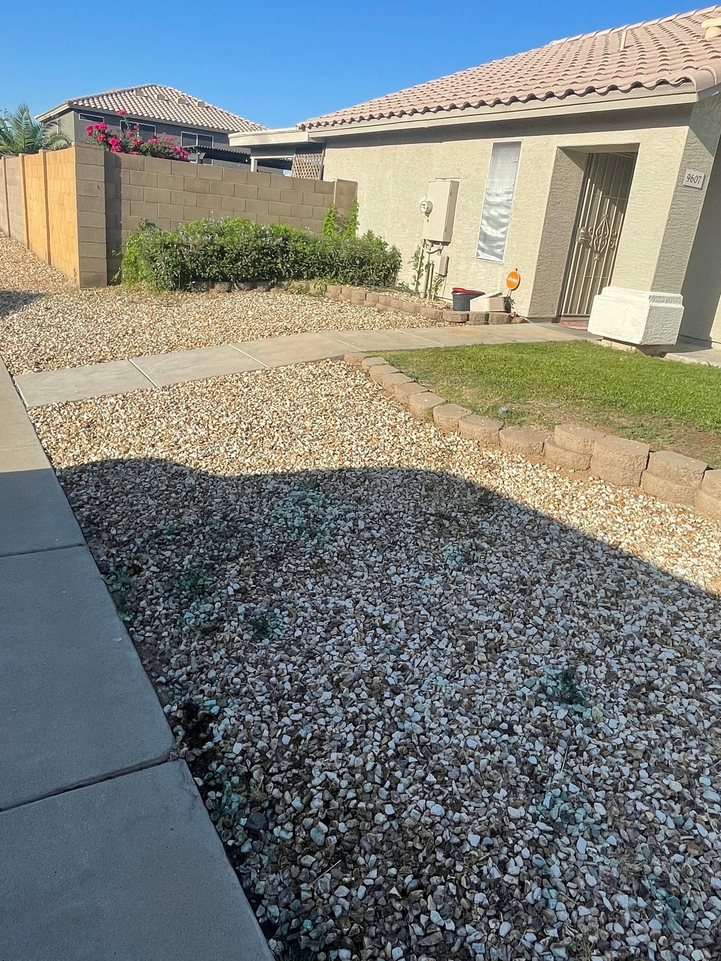 Newly established Bermuda lawn with ryegrass overseed at a Scottsdale rental in fall