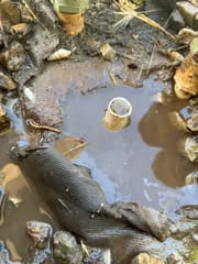 Breasy irrigation repair visit in Scottsdale, AZ