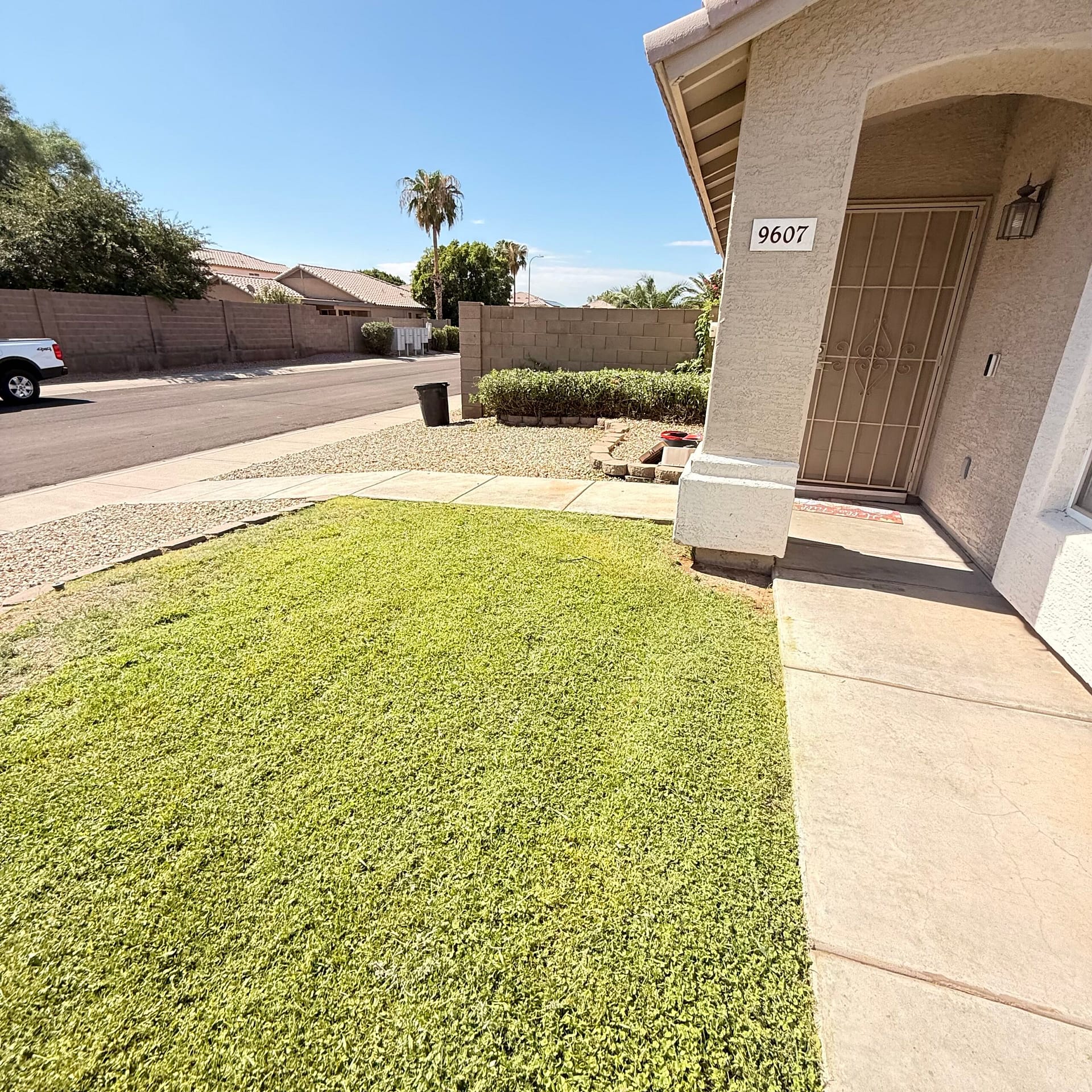 Hardscapes and Minor Installs