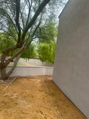 Breasy tree service visit in Cave Creek, AZ
