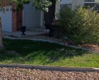 Breasy reviewing a Chandler tree service checklist