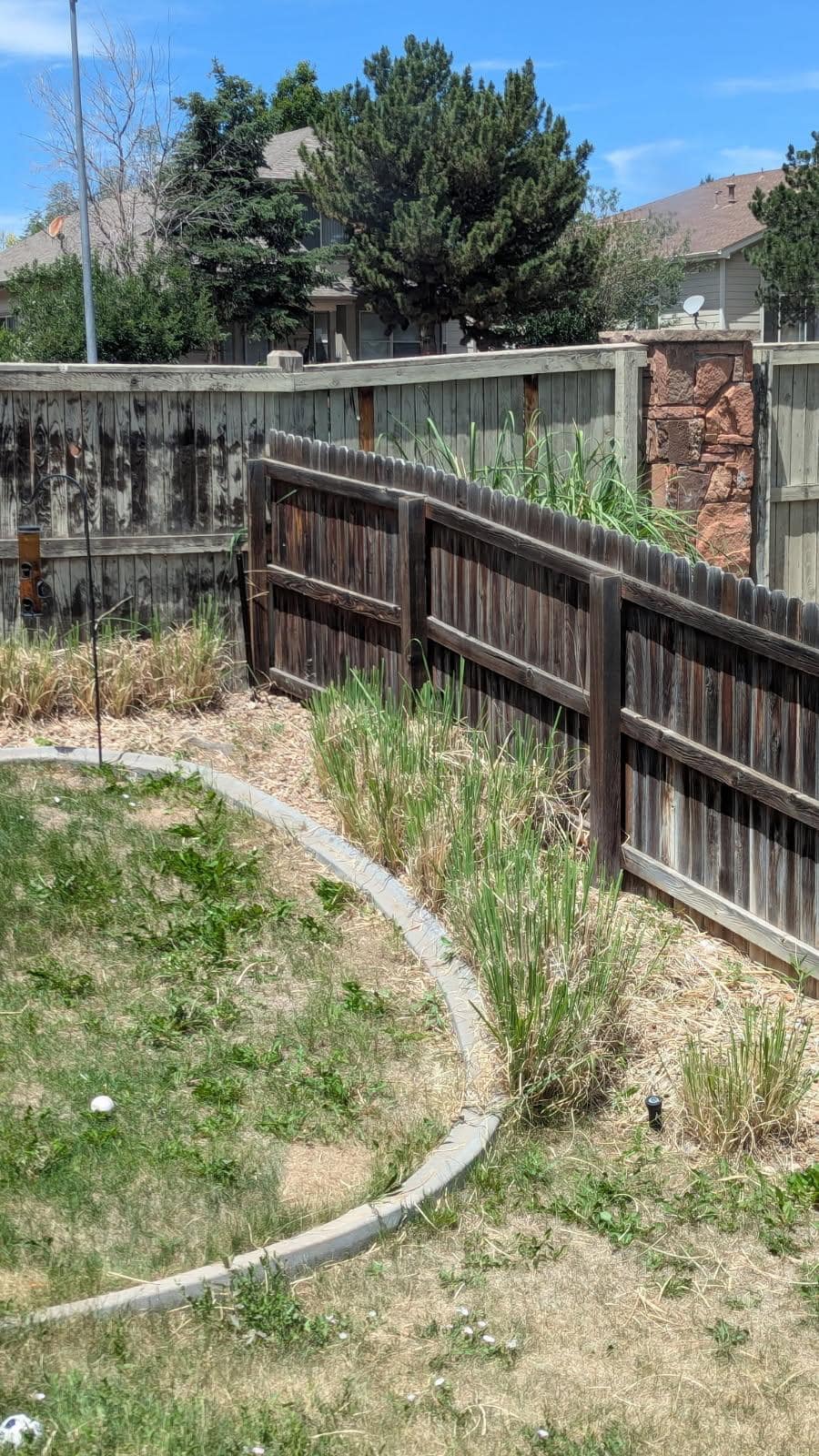 Reviewing HOA tree trim approval paperwork for a Chandler subdivision