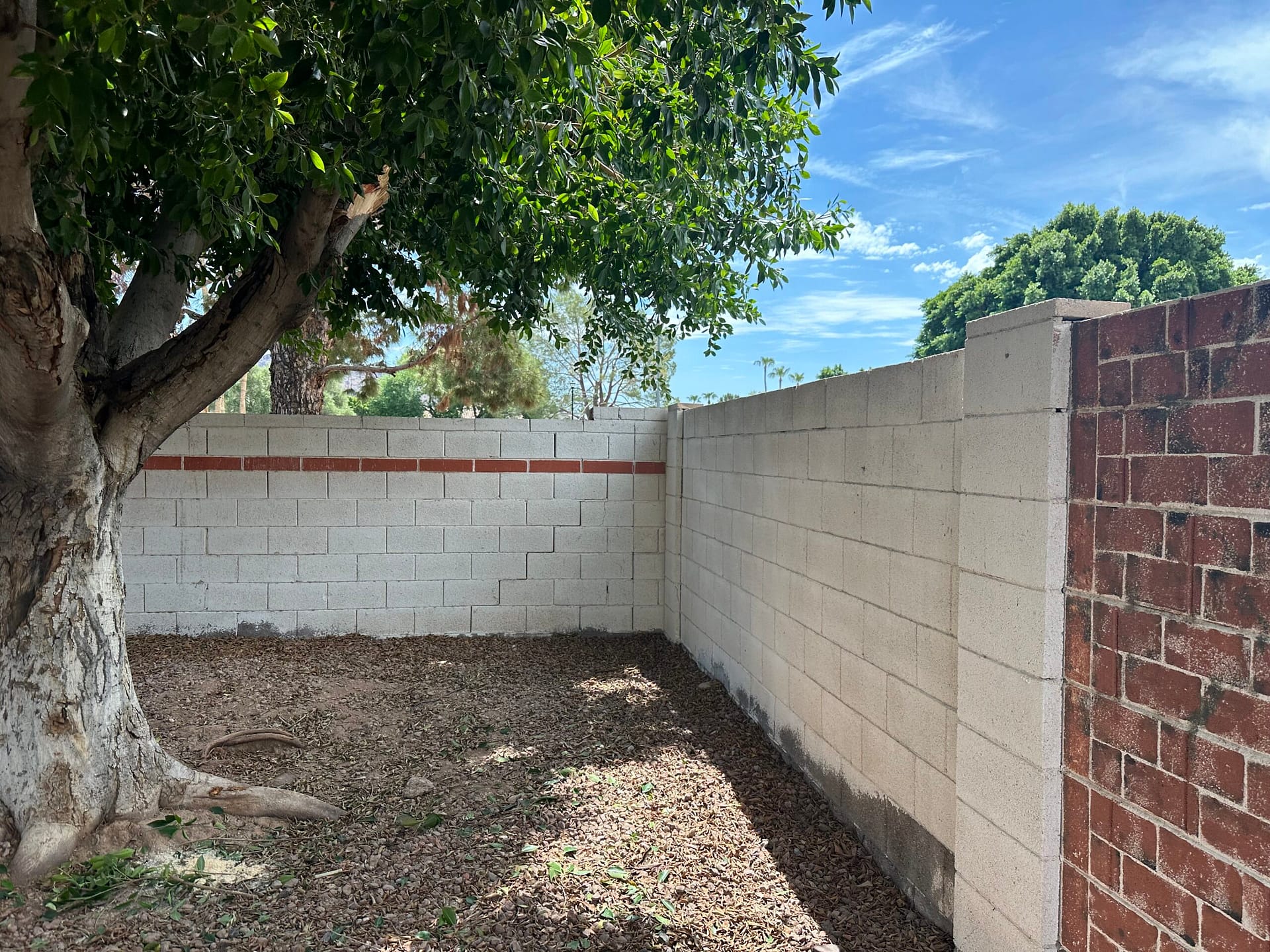 Matching a Cave Creek HOA cleanup to the community's approved plant list