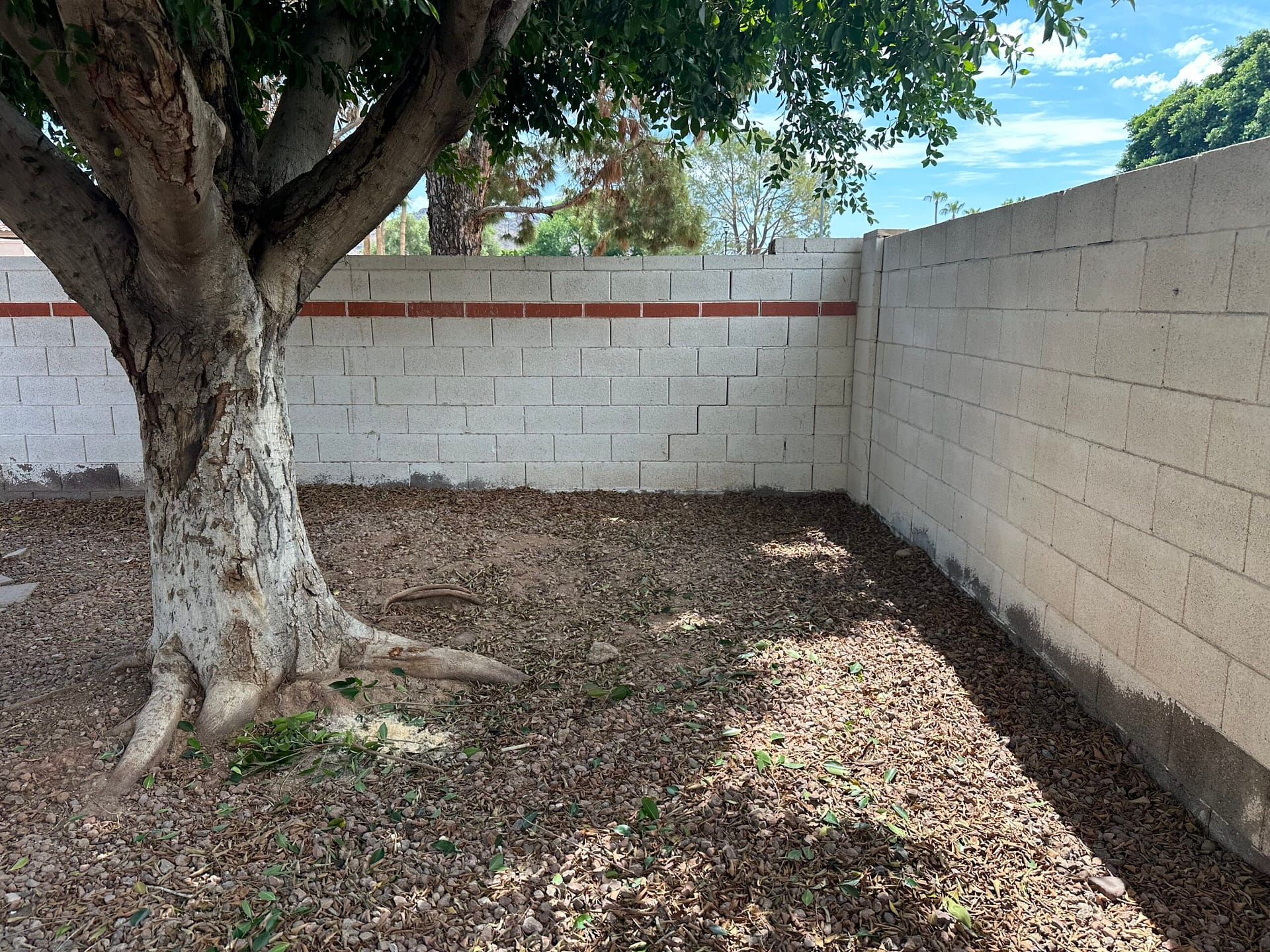 Reviewing HOA violation compliance paperwork for a Cave Creek property