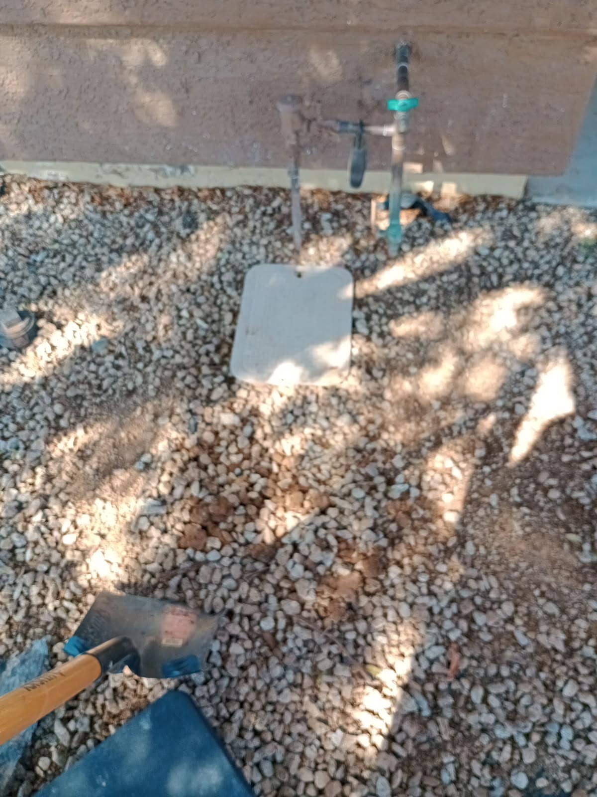 Dead turf from an irrigation failure flagged for HOA violation in Gilbert, AZ