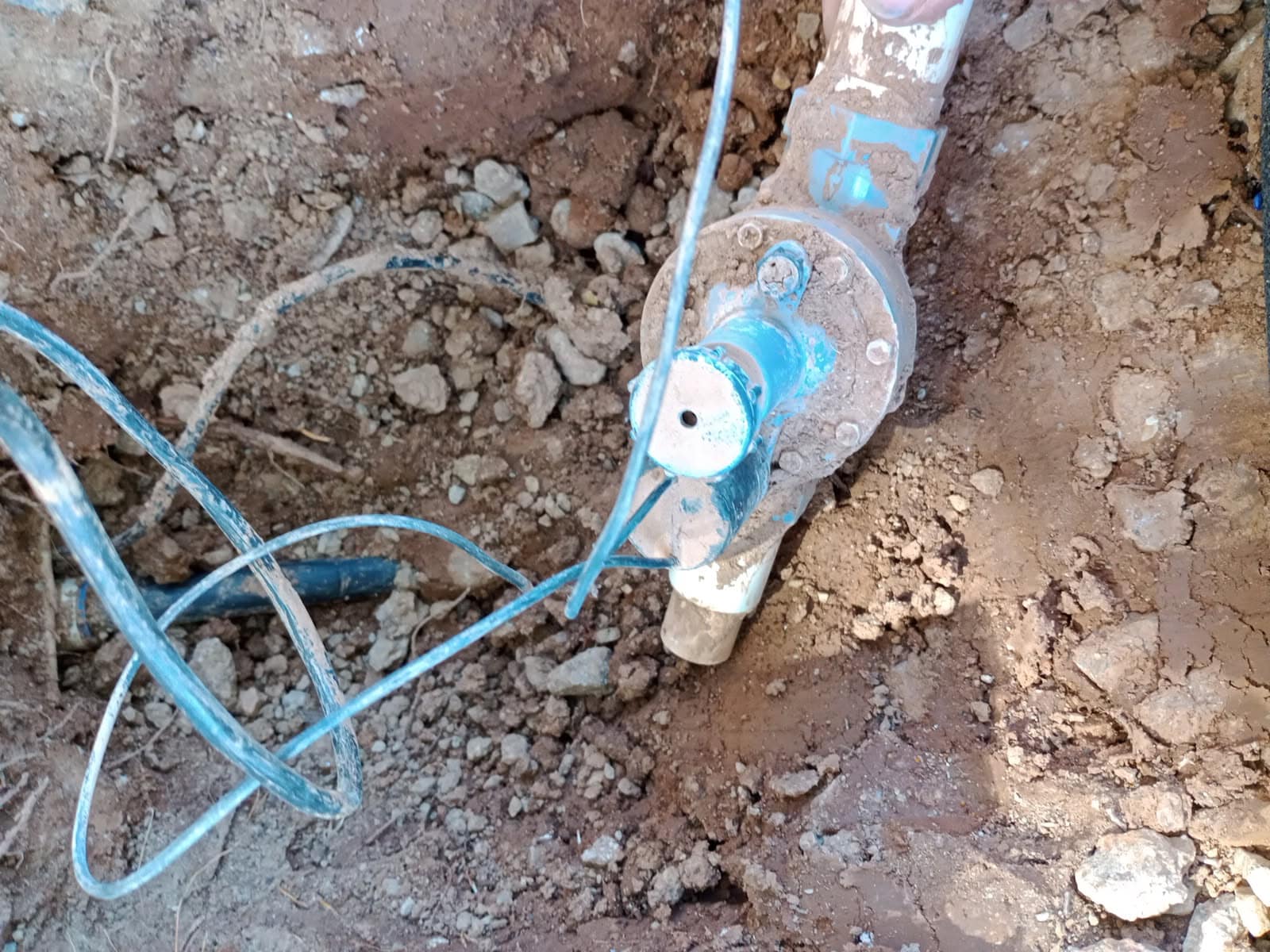 Breasy repairing a drip valve and lateral line at a Gilbert, AZ property
