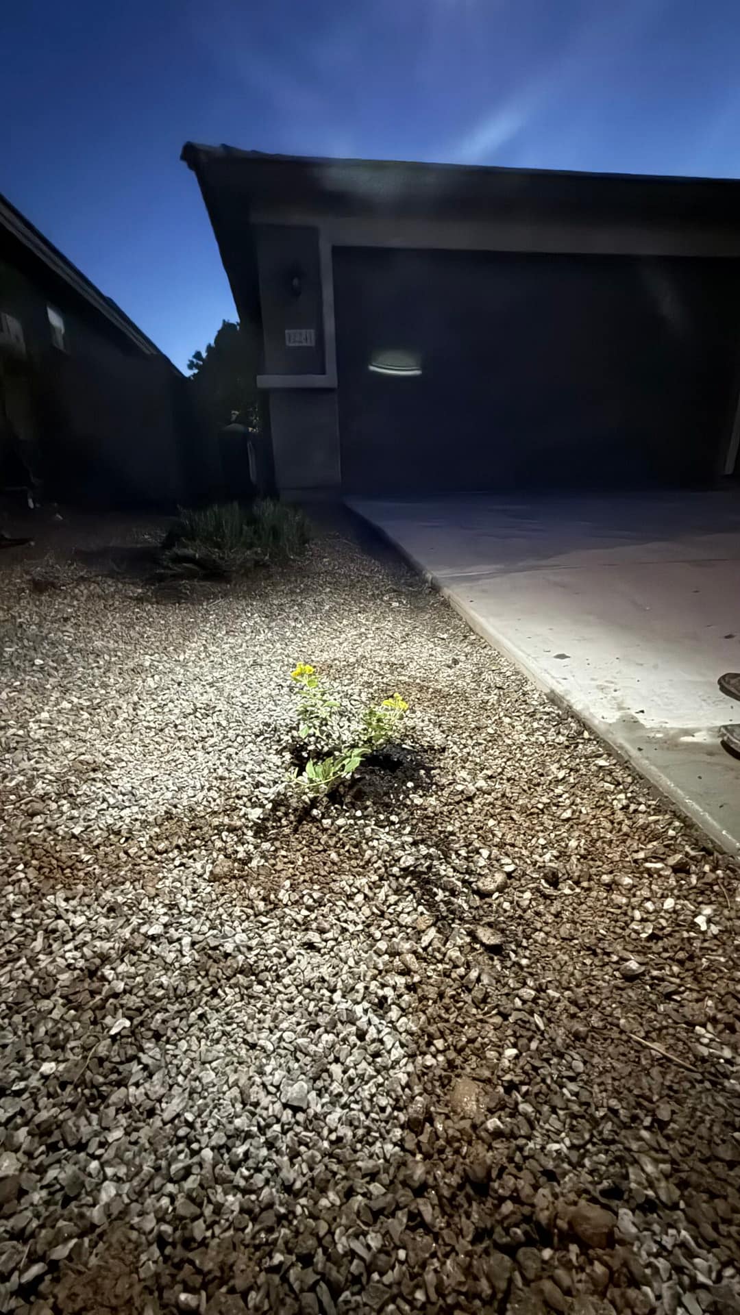 Breasy irrigation repair work order documentation for a Gilbert, AZ property