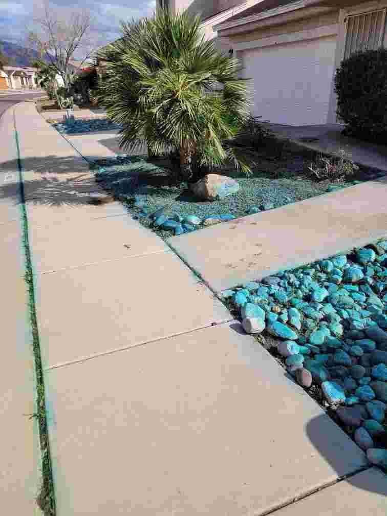 Breasy landscaping service