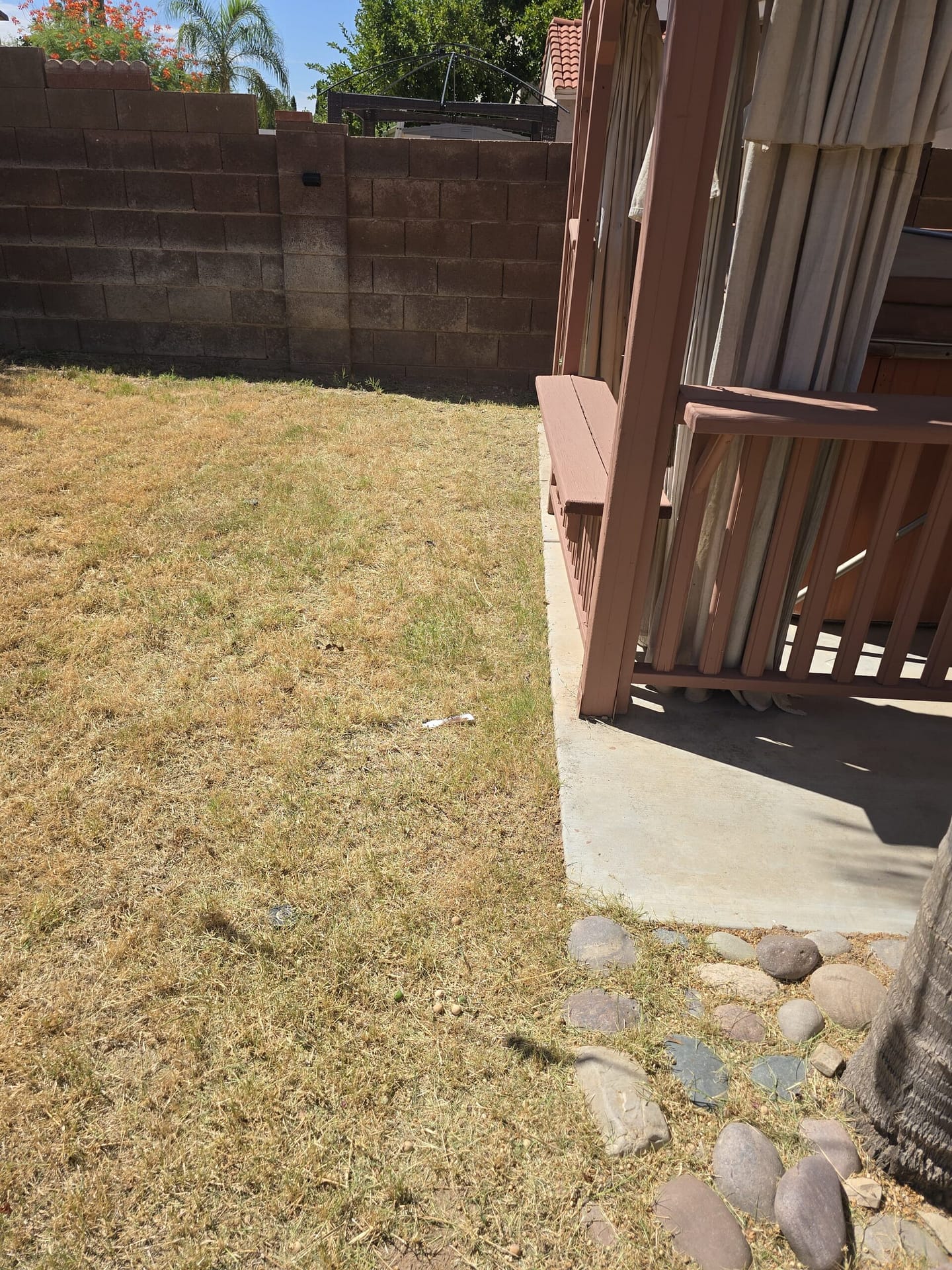 Breasy scoping a Desert Rural acreage lot for landscaping maintenance in Cave Creek