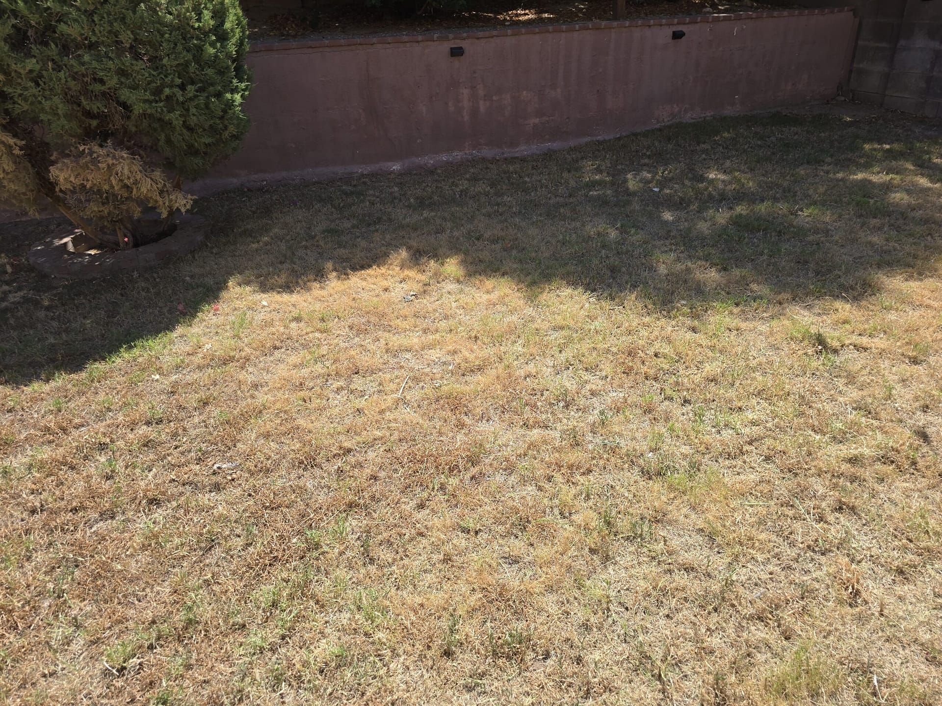 Breasy clearing brush and desert debris on a Cave Creek property near a wash