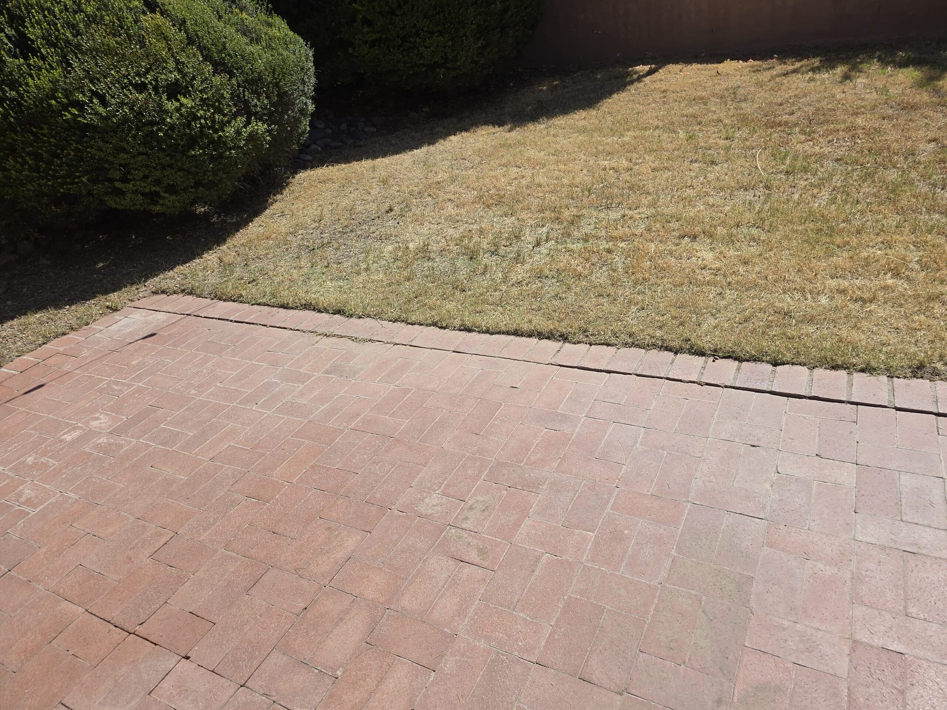 Landscaper setting a maintenance schedule for a Desert Rural acreage lot in Cave Creek