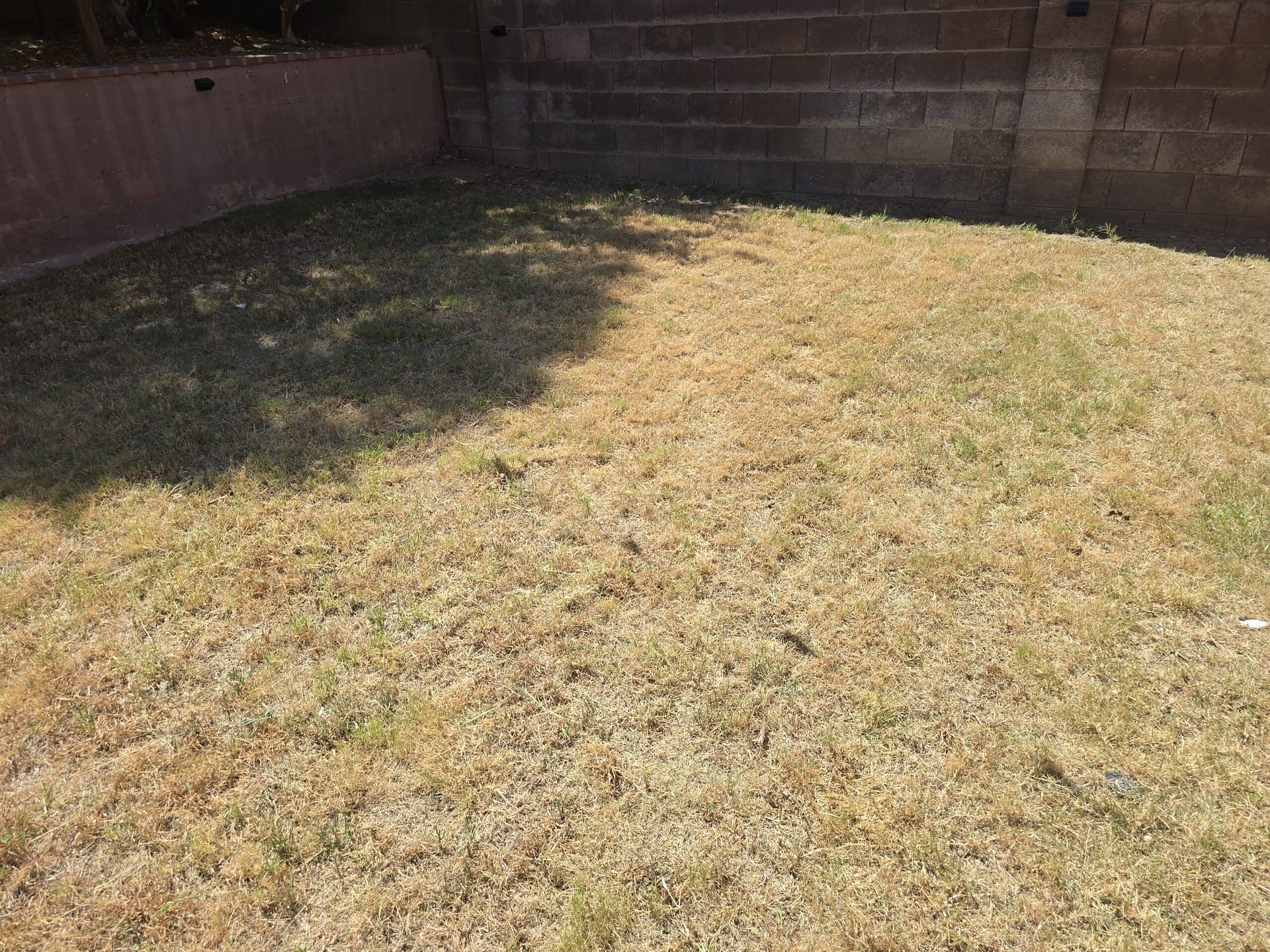 Breasy resolving an HOA landscaping violation at a Cave Creek community
