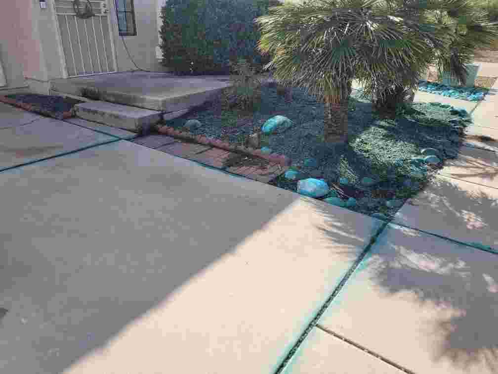 Breasy landscaping maintenance visit in Cave Creek, AZ