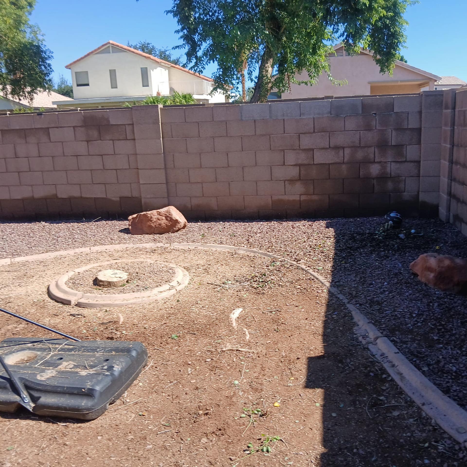Breasy documenting monsoon storm tree damage on a Cave Creek property with before-and-after photos