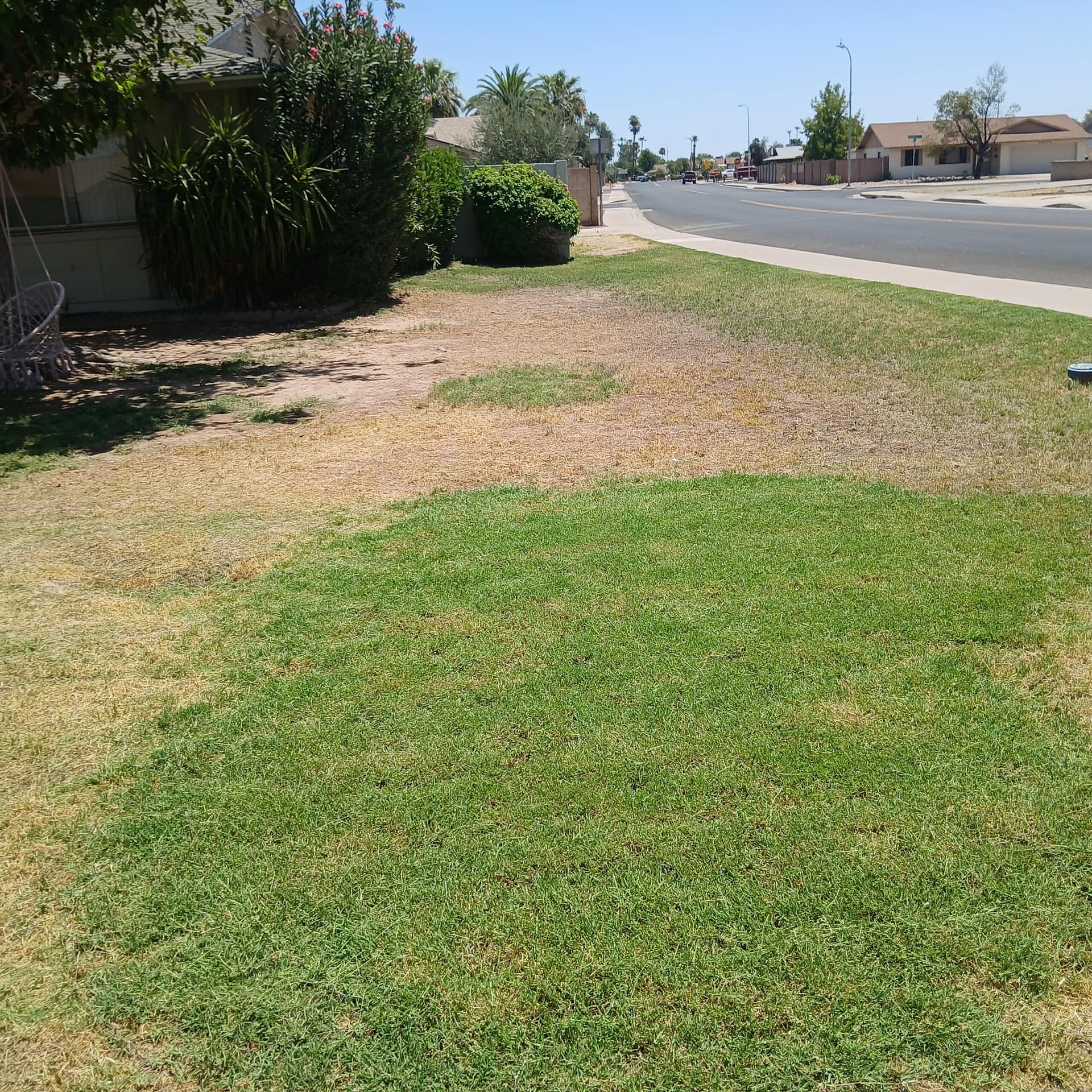 HOA violation cleanup completed at a Mesa, AZ property