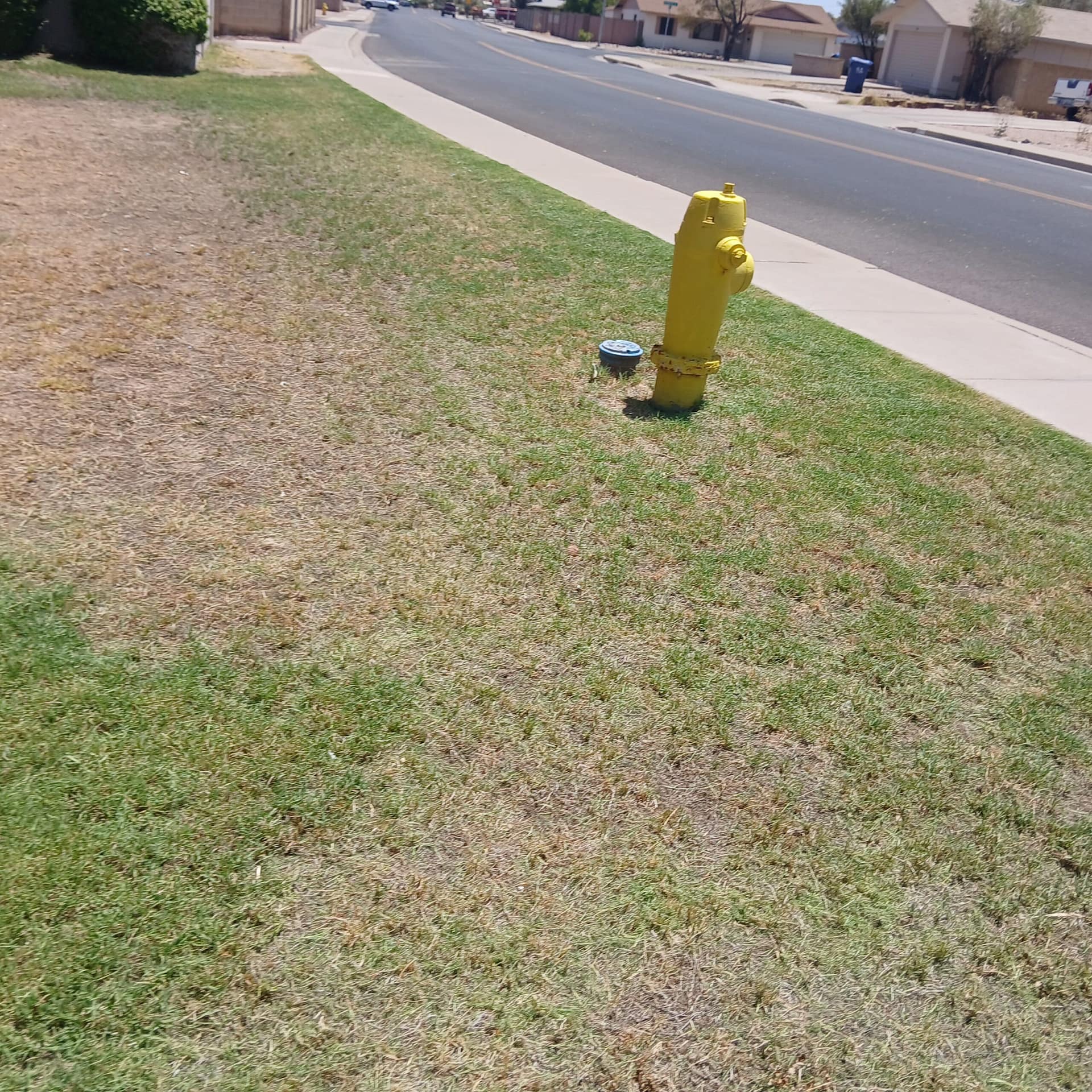 Landscaping Services in Mesa, AZ